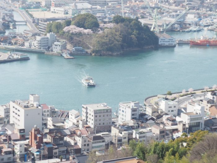 向島で動く 居酒屋せいちゃんち